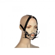 Кляпы, ошейники для пары