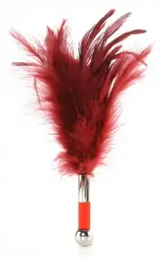 Бдсм и фетиш lelo