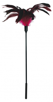 Бдсм и фетиш sportsheets