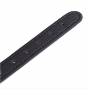 Кляпы, Ошейники