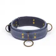 Бдсм и фетиш голубой