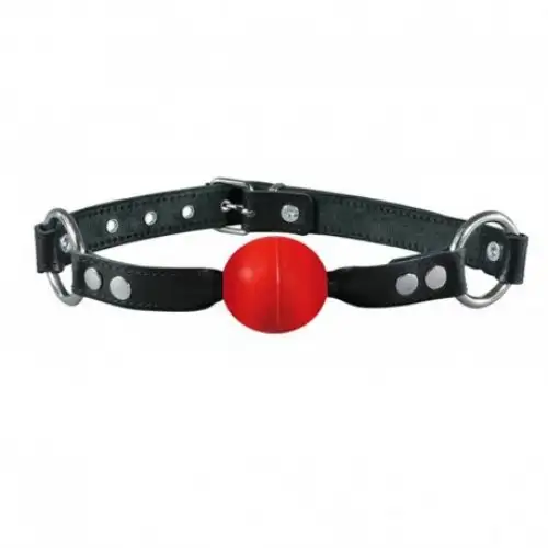Кляп Ball Gag Normal