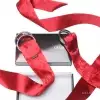 Ленточки для связывания LELO BOA TIES RED photo 3