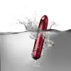 Вибратор Rocks Off RO-90mm 10 Speed Crimson Kiss photo 3