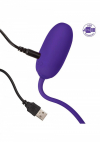 CalExotics RechargeabCalExotics Rechargeable Kegel Ball Starter перезаряжаемое виброяйцо, 7,7х3,25  photo 2