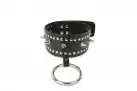 Ошейник с шипами и кольцом photo 1