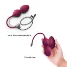 Вагинальные шарики Dorcel LOVE BALLS PLUM, вибрации и движения внутреннего шарика, пульт ДУ photo 4